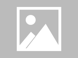 如何从ChatGPT官网获取高清图片？5种官方下载方法详解